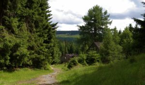 takie widoki poczas spaceru