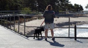 co robic na helu zpsem