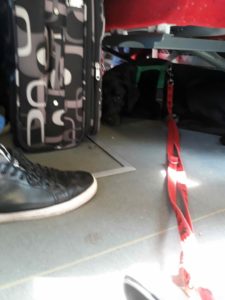 jak_przygtowac_psa_do_pociagu