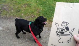 Jussi sie cieszy, bo wie że posprzatamy